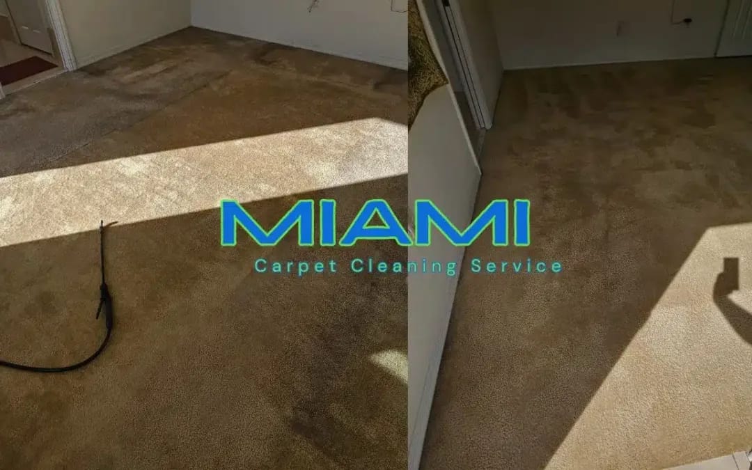 Miami’s Leading Carpet Cleaning Company