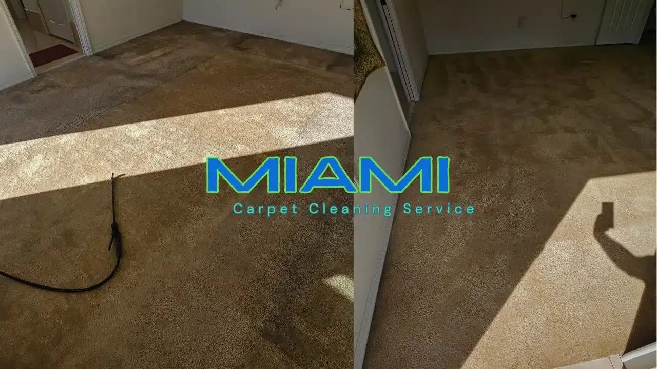 Miami's Leading Carpet Cleaning Company