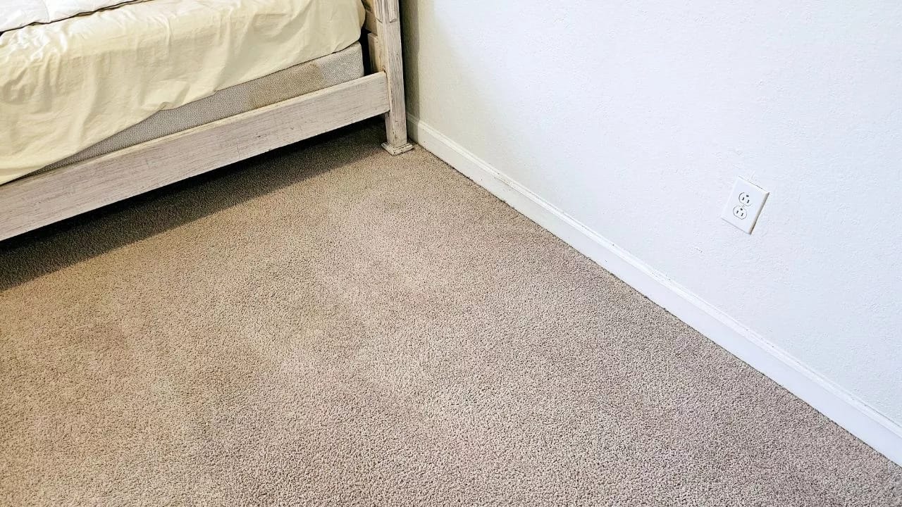 Carpet Cleaning Company in South Miami