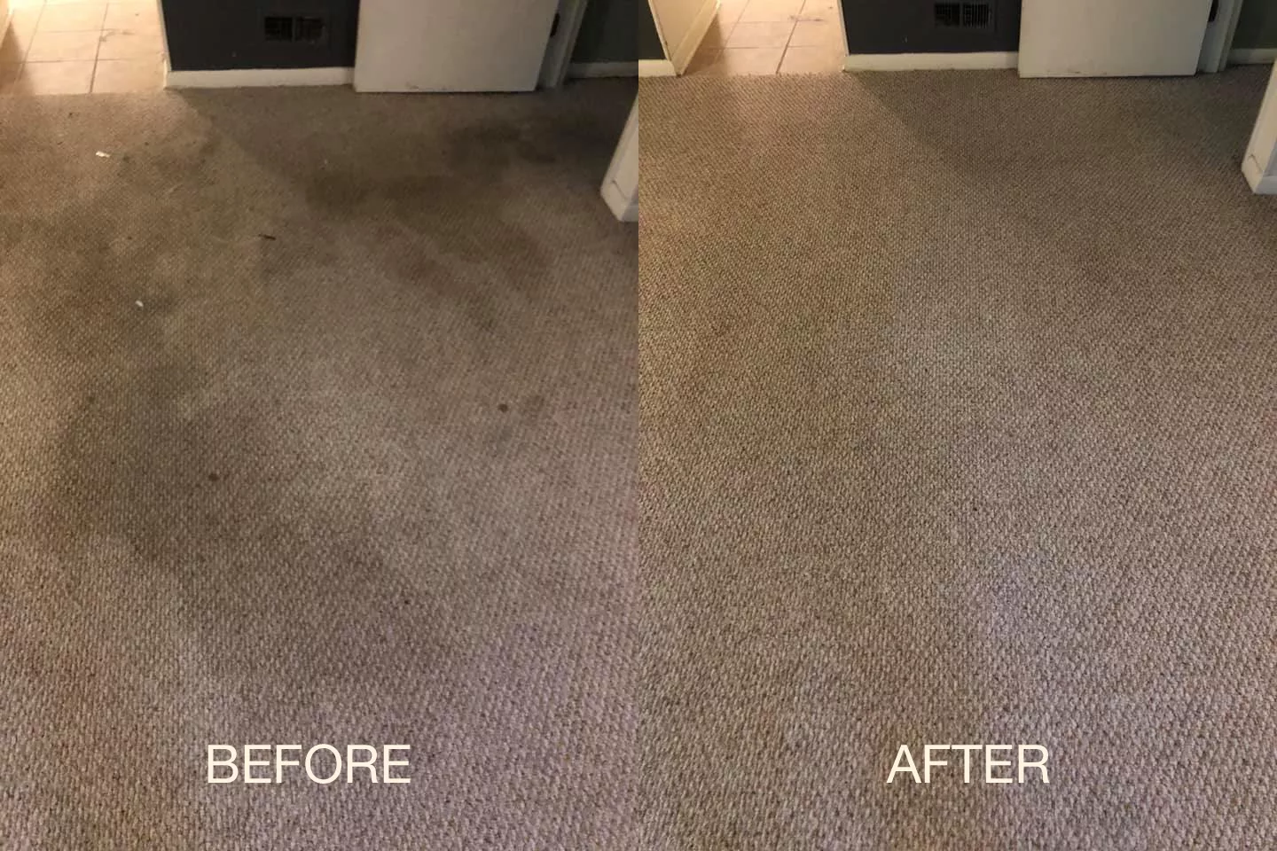 Carpet Cleaning Service in Wellington