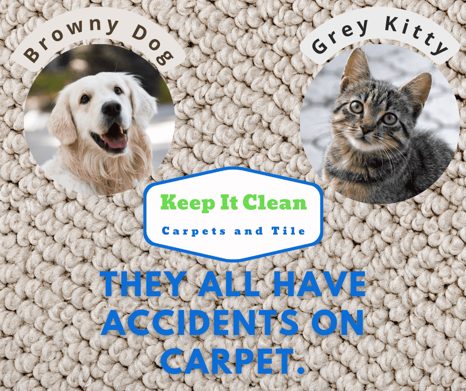 Miami's Best Carpet Cleaning