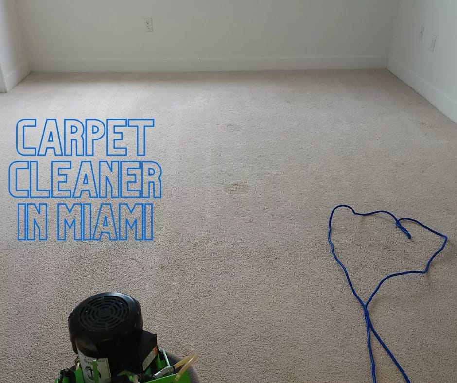 Carpet Cleaner in Miami