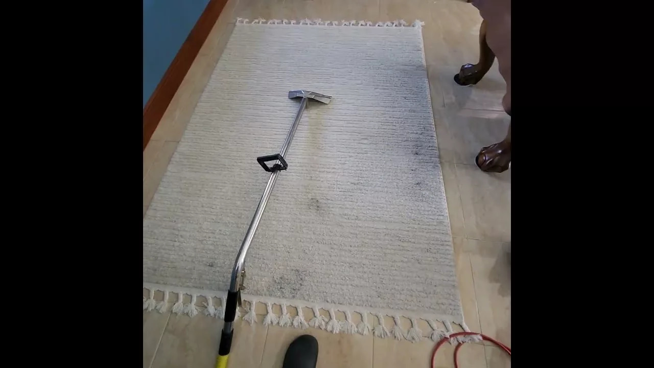Carpet Cleaner in Homestead