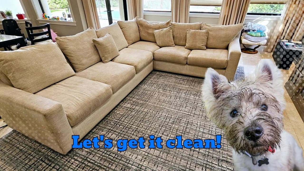 Upholstery and Area Rug Cleaning