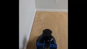 Best Carpet Cleaner in Homestead