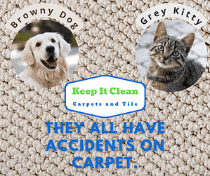 Pinecrest Carpet Cleaning