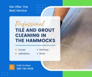 The Hammocks Tile and Grout Cleaning Service