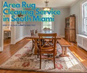 Carpet Cleaning Service in South Miami