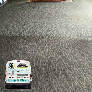  Carpet Cleaning Service