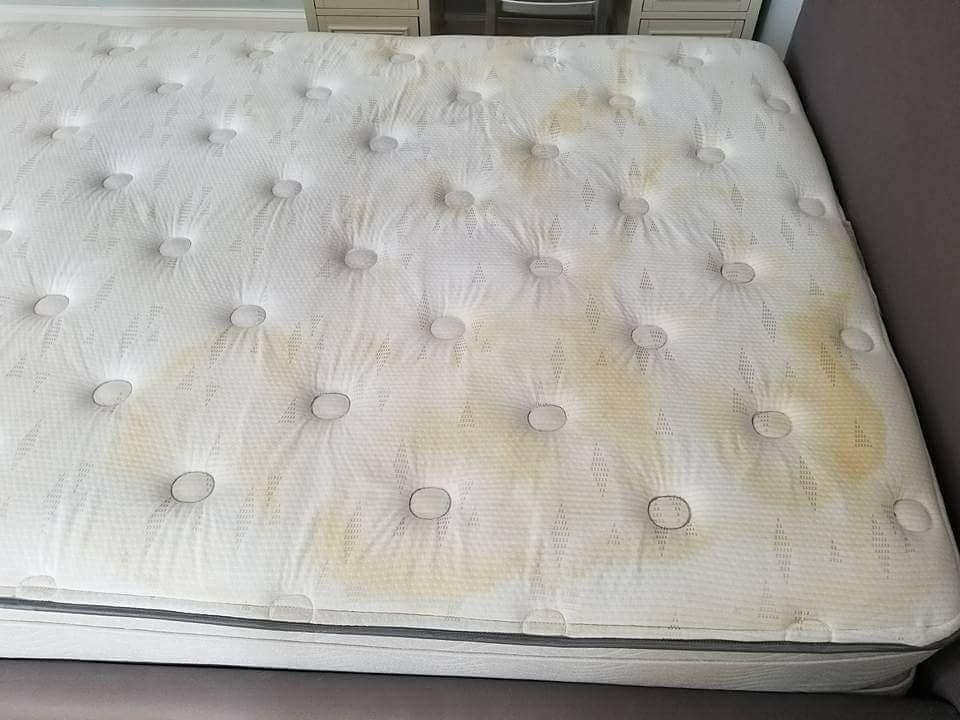 Mattress and Couch Cleaning Service