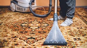 Professional Area Rug Cleaning Miami