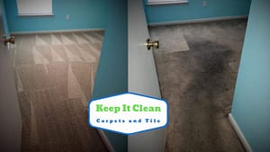 Carpet Cleaning Service in Pinecrest