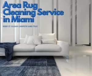 Area Rug Cleaning Service in Miami