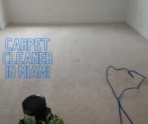 Carpet Cleaner in Miami