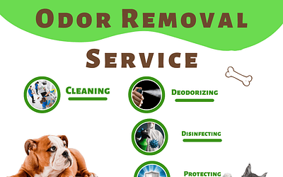 Odor Removal For Pet Urine and Feces